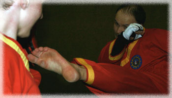 Bild eines Kicks im Training